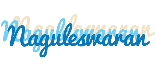 Naguleswaran breeze logo