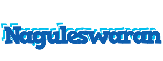 Naguleswaran business logo