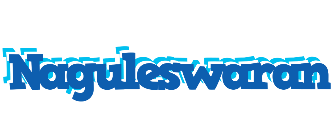 Naguleswaran business logo