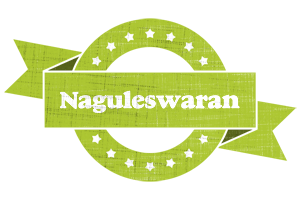 Naguleswaran change logo