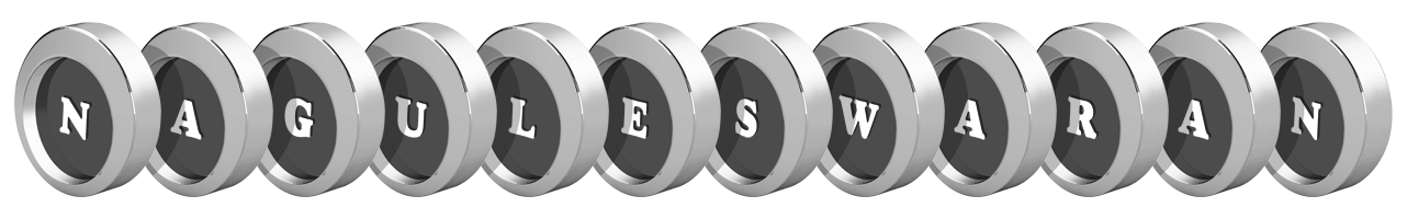 Naguleswaran coins logo