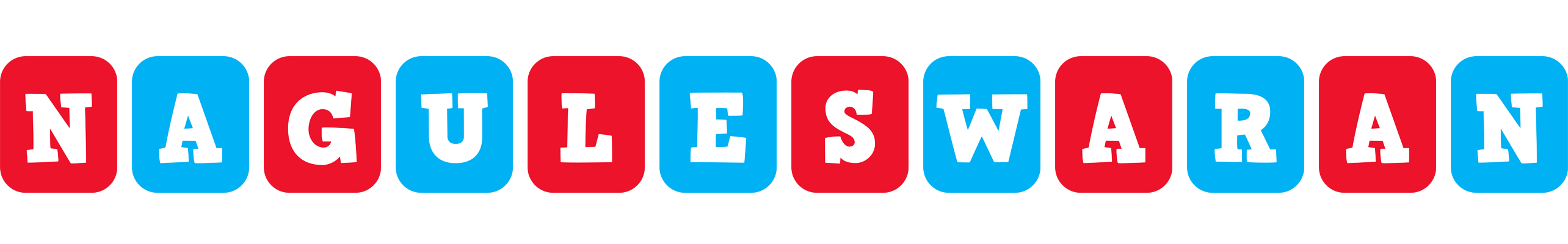Naguleswaran diesel logo
