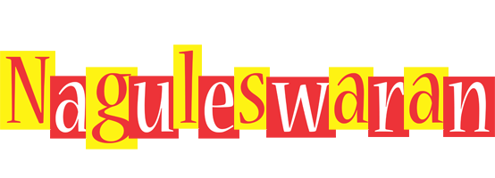 Naguleswaran errors logo