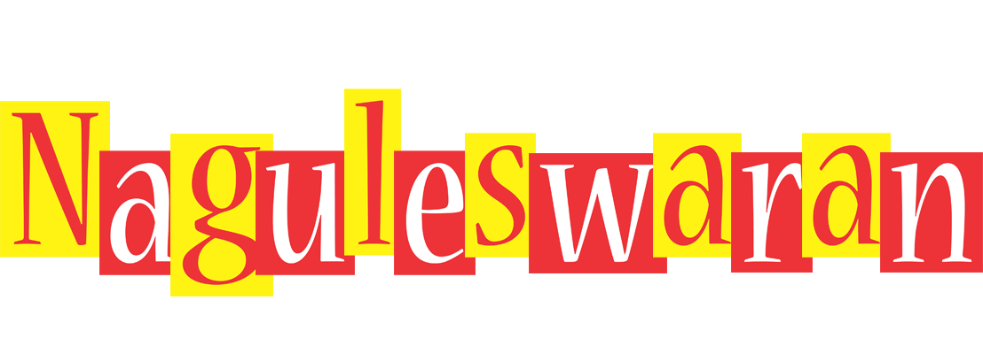 Naguleswaran errors logo