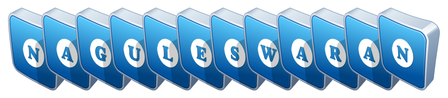 Naguleswaran flippy logo