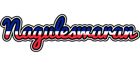 Naguleswaran france logo
