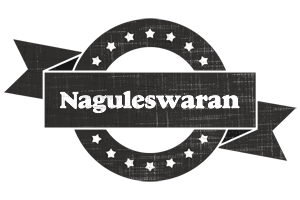 Naguleswaran grunge logo