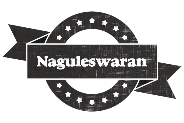 Naguleswaran grunge logo