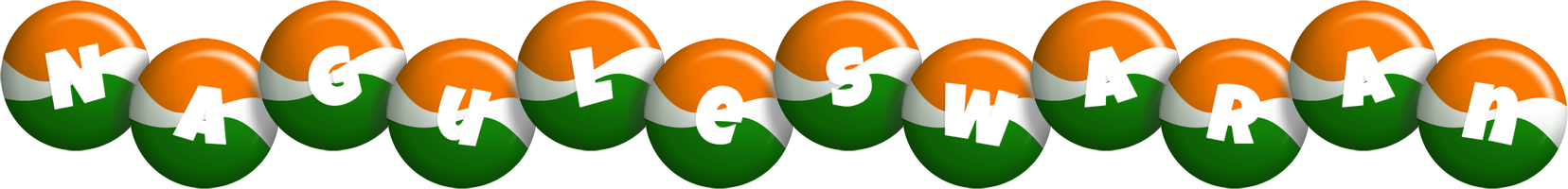 Naguleswaran india logo