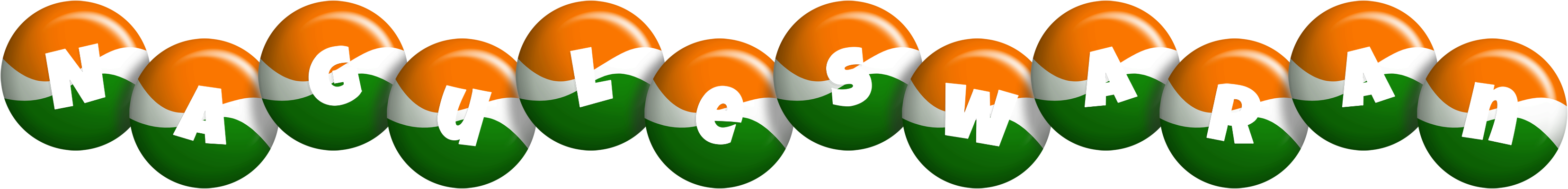 Naguleswaran india logo