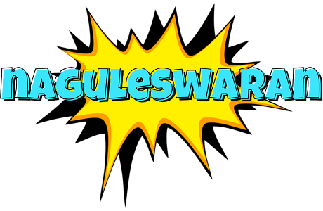 Naguleswaran indycar logo