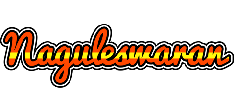 Naguleswaran madrid logo