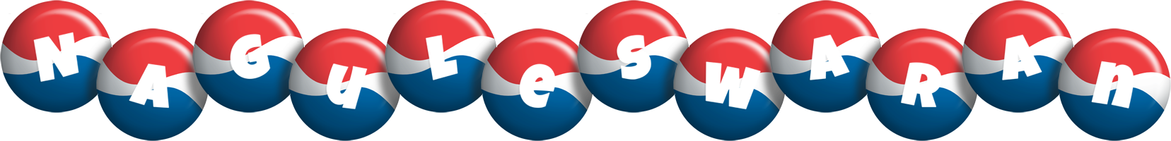 Naguleswaran paris logo