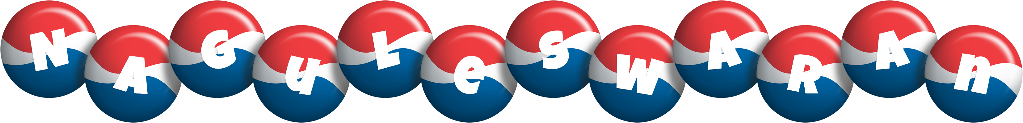 Naguleswaran paris logo