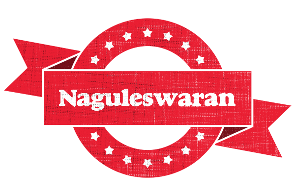 Naguleswaran passion logo