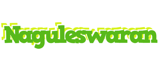 Naguleswaran picnic logo