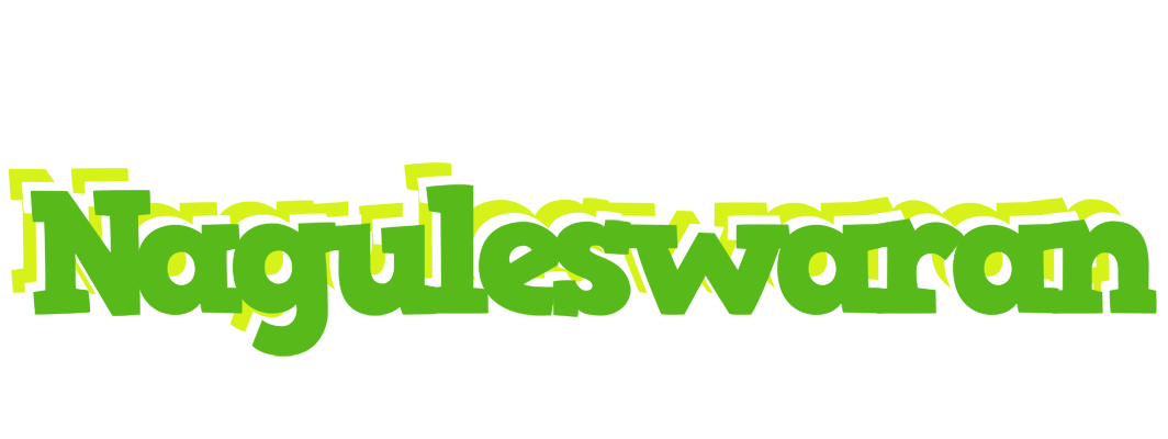 Naguleswaran picnic logo