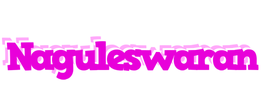 Naguleswaran rumba logo