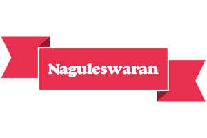 Naguleswaran sale logo