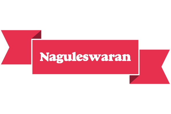Naguleswaran sale logo