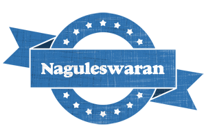 Naguleswaran trust logo