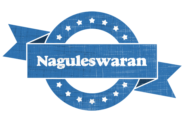 Naguleswaran trust logo