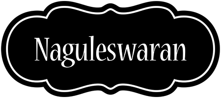 Naguleswaran welcome logo