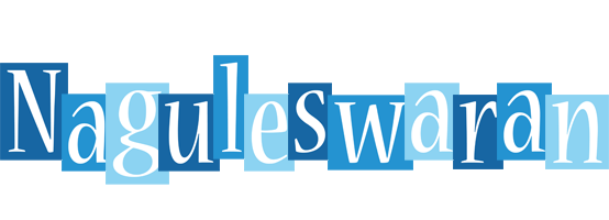 Naguleswaran winter logo