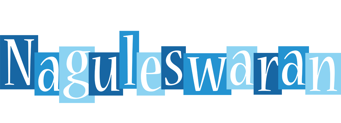 Naguleswaran winter logo