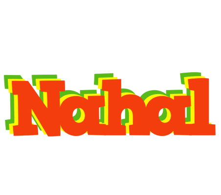 Nahal bbq logo