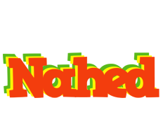 Nahed bbq logo