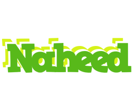 Naheed picnic logo