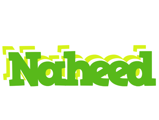Naheed picnic logo