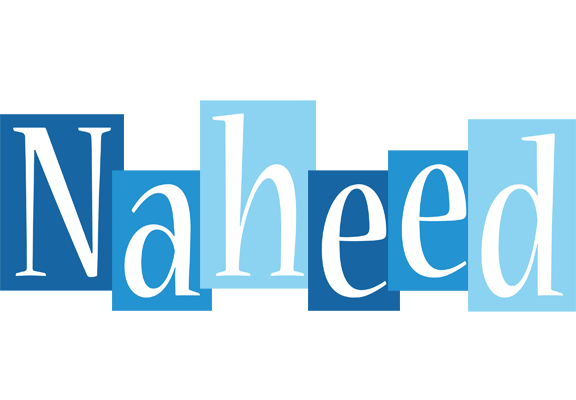 Naheed winter logo