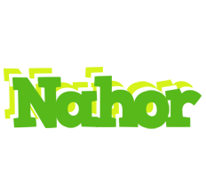 Nahor picnic logo