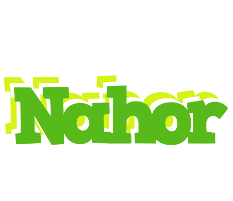 Nahor picnic logo