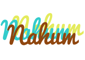 Nahum cupcake logo