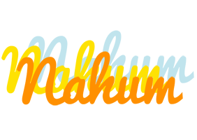 Nahum energy logo