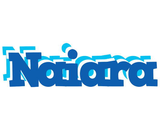 Naiara business logo
