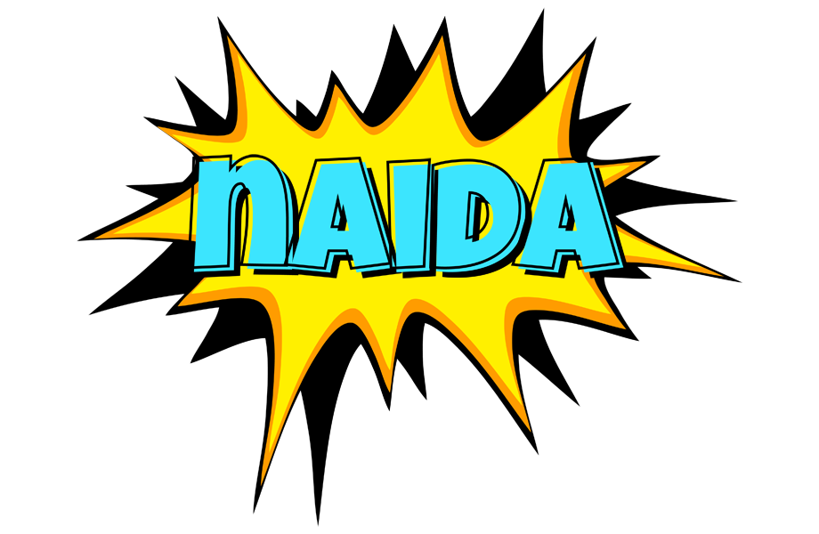 Naida indycar logo