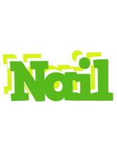 Nail picnic logo