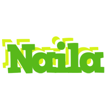 Naila picnic logo