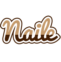 Naile exclusive logo