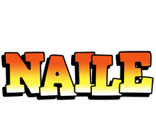 Naile sunset logo