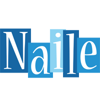 Naile winter logo