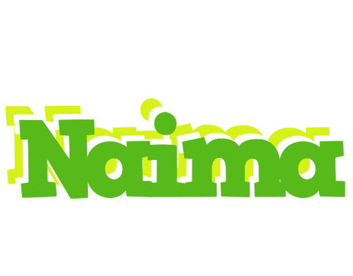 Naima picnic logo