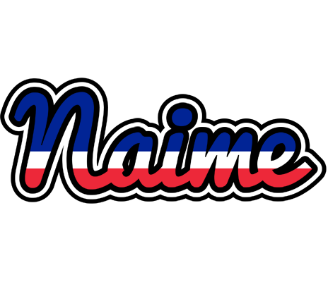 Naime france logo