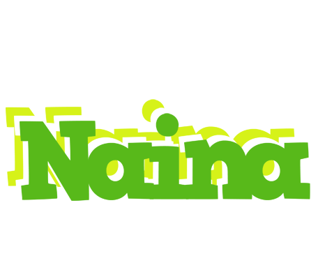 Naina picnic logo