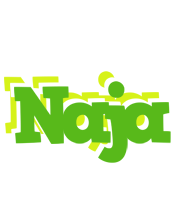 Naja picnic logo