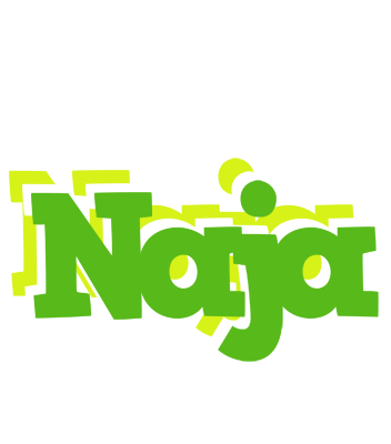 Naja picnic logo